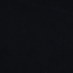 gto. negro semiabsoluto