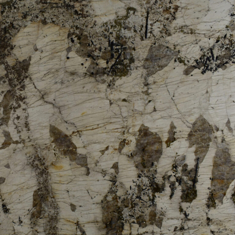 patagonia golden pc57610201 pr scaled e1700314773819